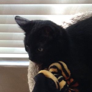 Meet your Posher, Riley